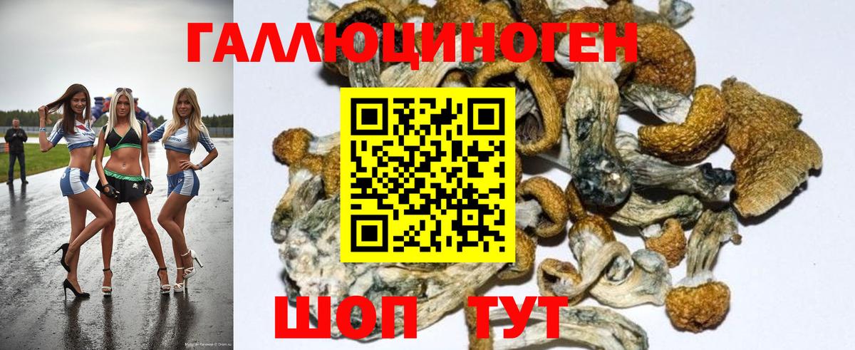 Галлюциногенные грибы Magic Shrooms Кувандык